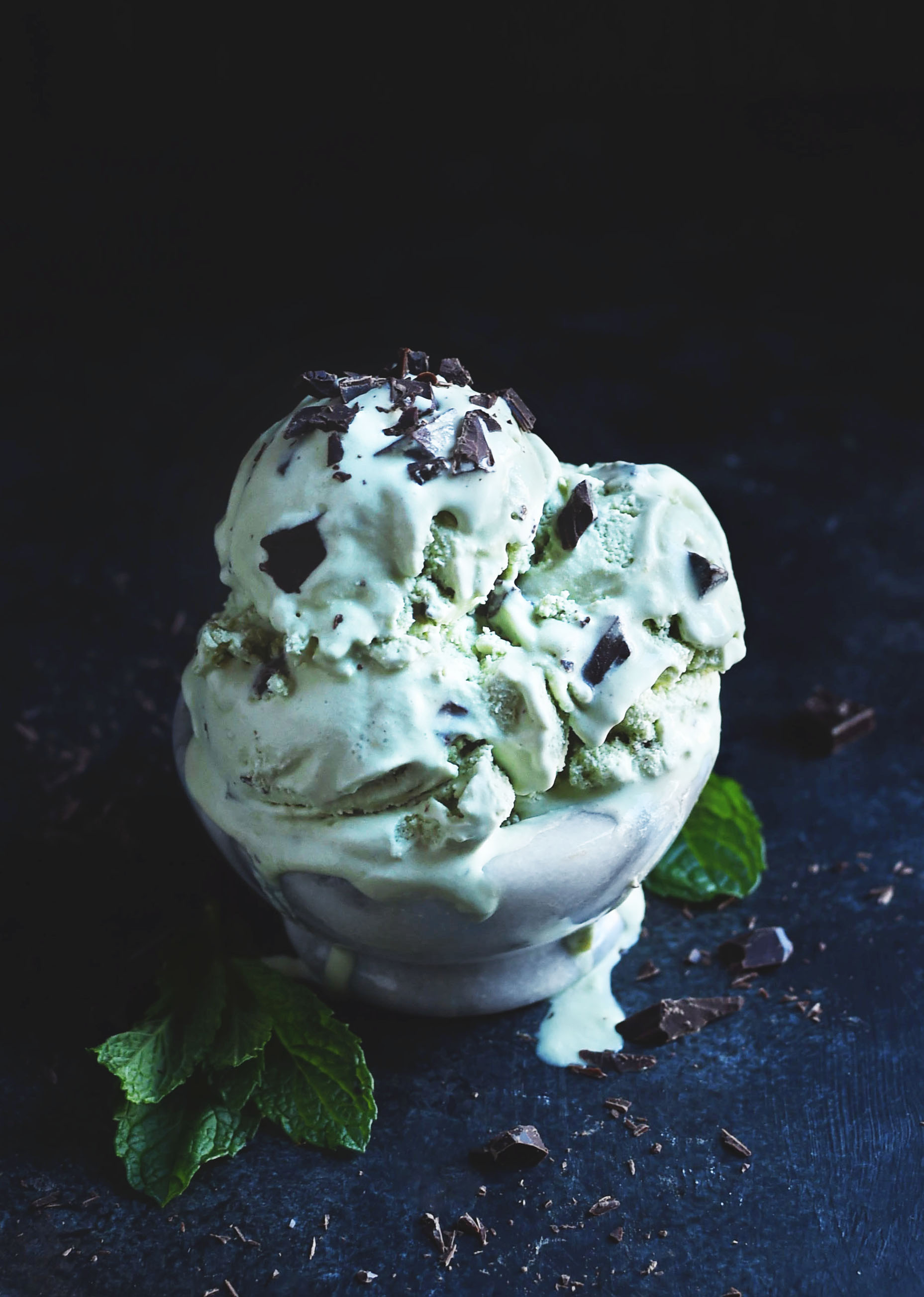 Low Carb Mint Chocolate Chip Ice Cream