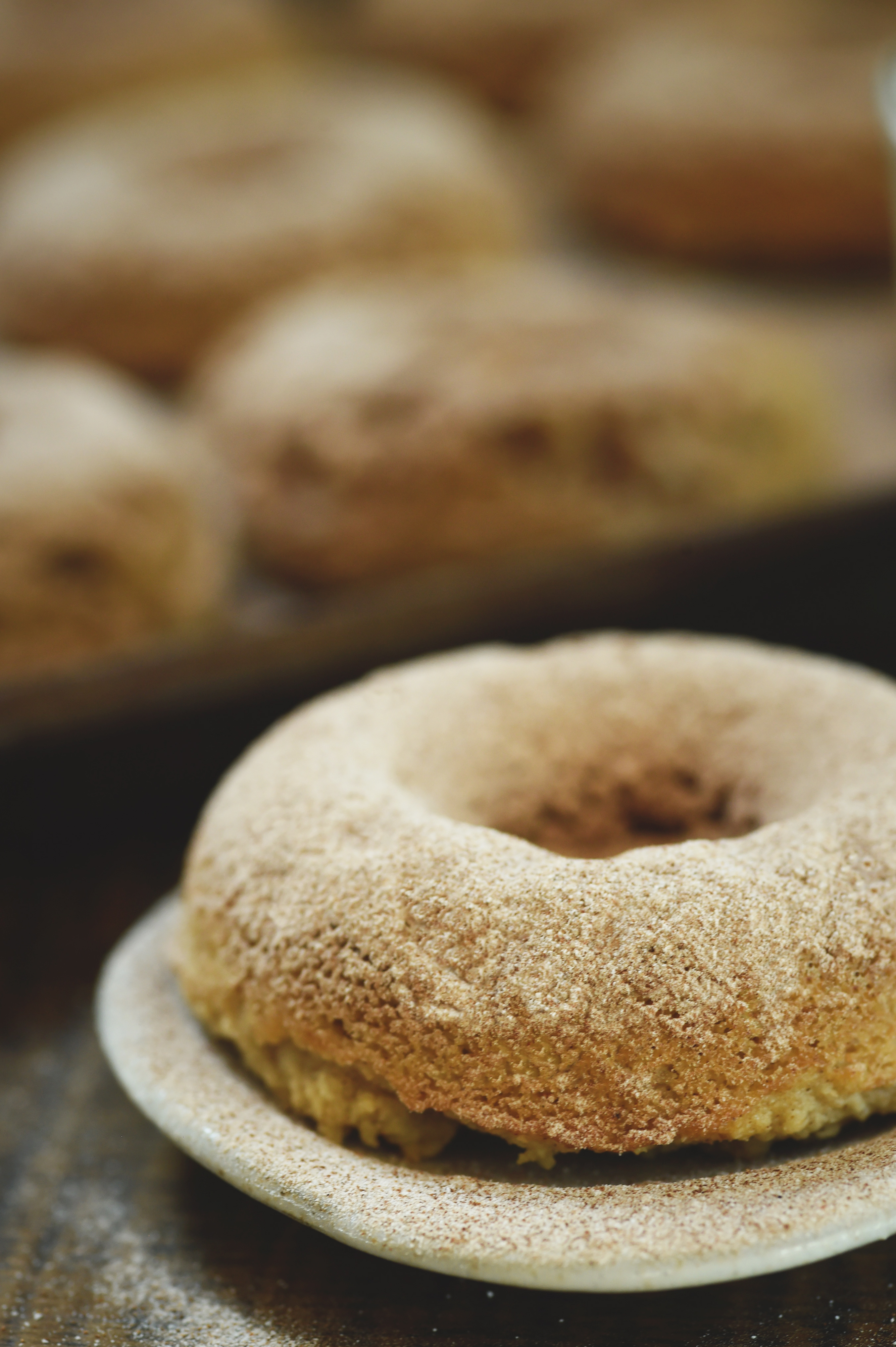 Low-Carb Cinnamon Sour Cream Donuts-close-up of a donut.