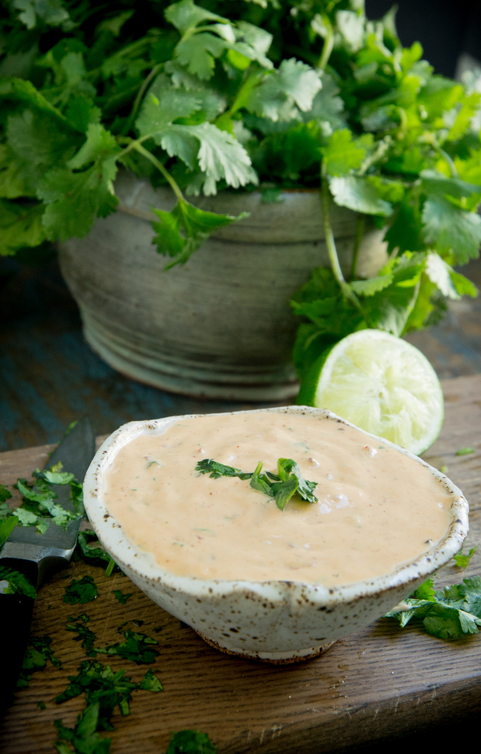 Creamy Chipotle Sauce in a bowl.
