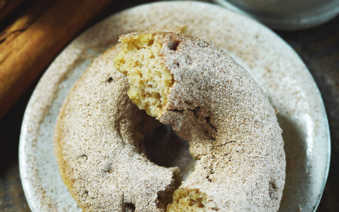 Low-Carb Cinnamon Sour Cream Donuts